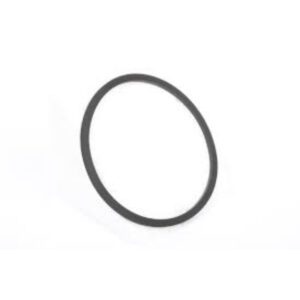 SEALING RING*