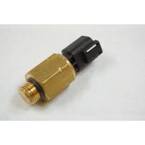 TEMPERATURE SWITCH